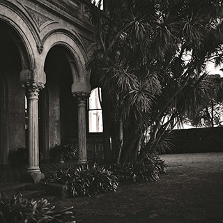 View Image