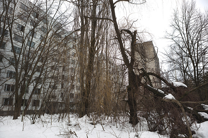 Plant Life (Chernobyl)