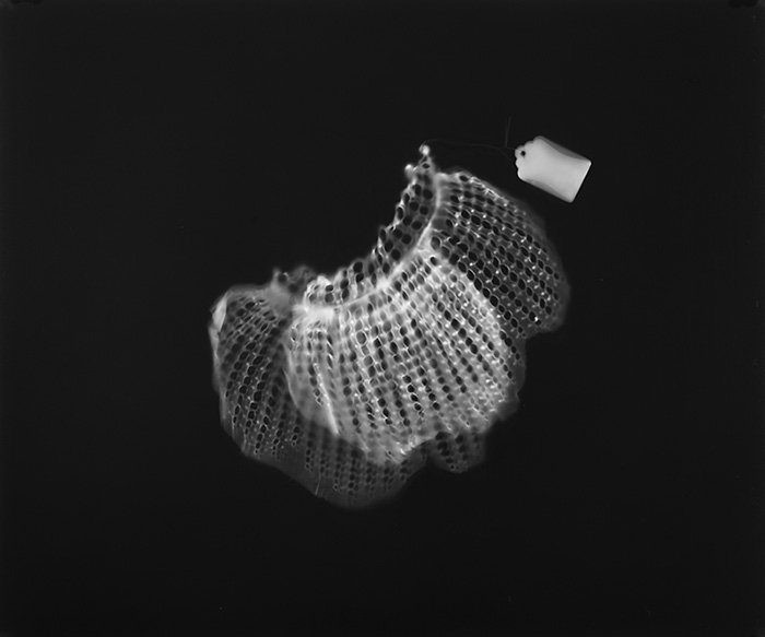 Untitled Photograms