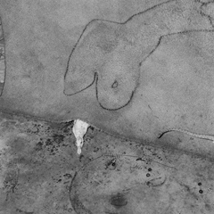 Roger Ballen