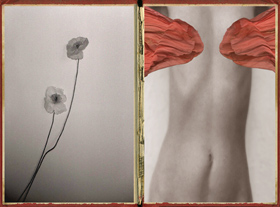 Pat Brassington