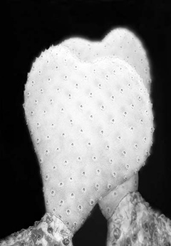 Pat Brassington